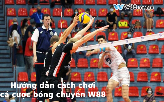 Cách chơi cá cược bóng chuyển w88